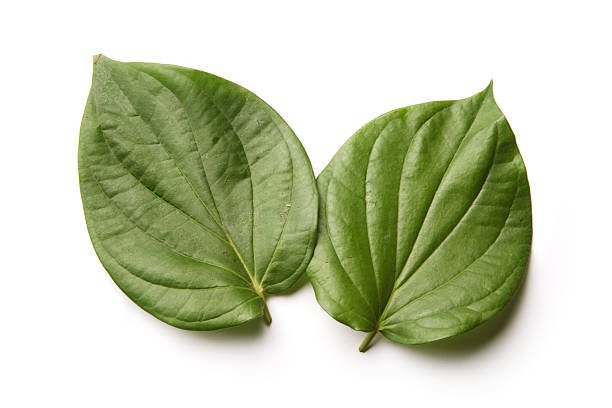 istockphoto-172705709-612x612