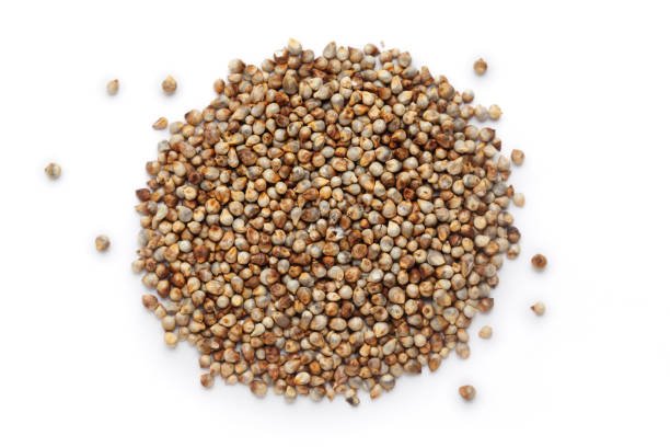 A close-up pile of organic Pearl Millet (Pennisetum glaucum) or Bajra, isolated on a white background. Top view